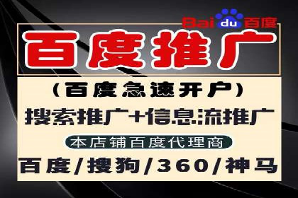 竞价推广实战：案例分析行业领军企业的成功之道